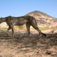 Illustration for article titled Surveillance Cameras Capture the Elusive, Endangered Saharan Cheetah